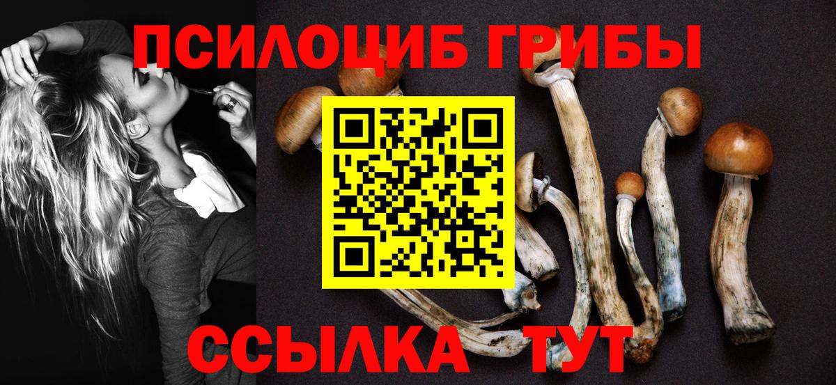 Псилоцибиновые грибы Psilocybe  Вход с VPN  купить   Хабаровск  Псилоцибиновые грибы GOLDEN TEACHER 