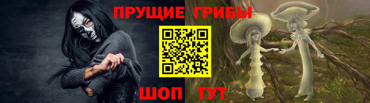 Галлюциногенные грибы Cubensis Хабаровск